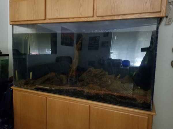 200 gallon acrylic Aquarium for Sale in Mesa, AZ - OfferUp 200 gallon acrylic Aquarium for Sale in Mesa, AZ - OfferUp