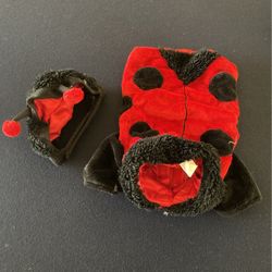 Dog Lady Big Costume 