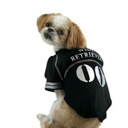 Wide Retriever Costume Size L