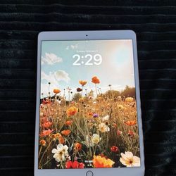 iPad Air 3rd Generation 10.5in
