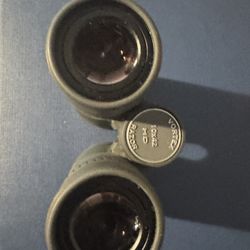  Vortex Razor HD 10x42