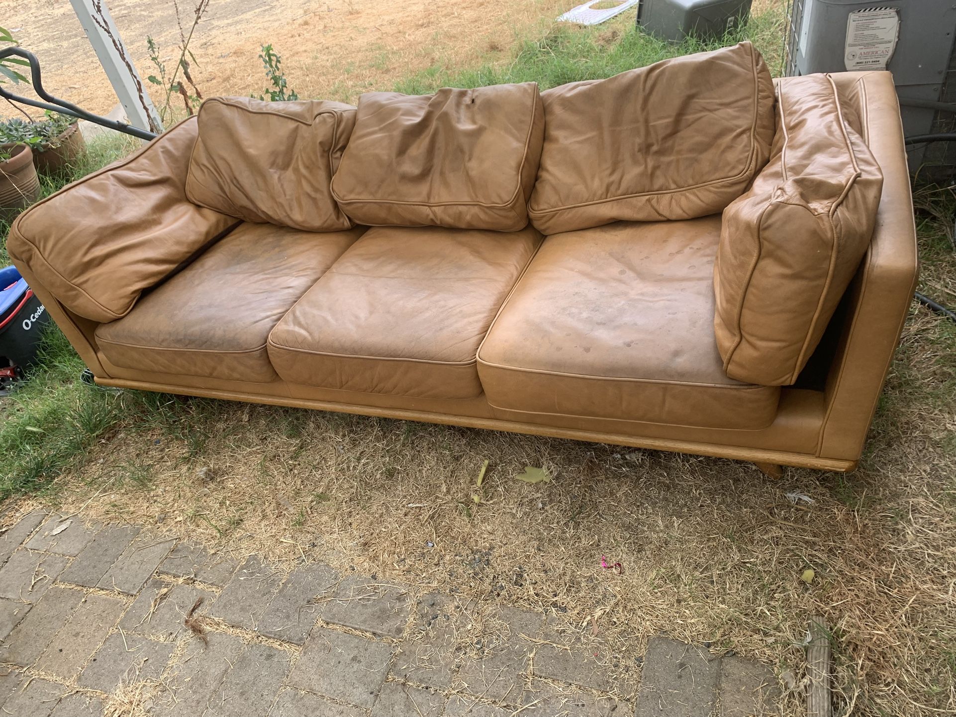 Article Leather Couch