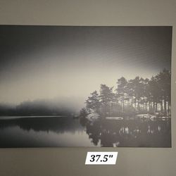 IKEA PJÄTTERYD frameless painting