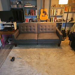 Futon Couch