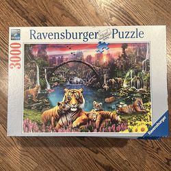 3,000 piece Ravensburger puzzle