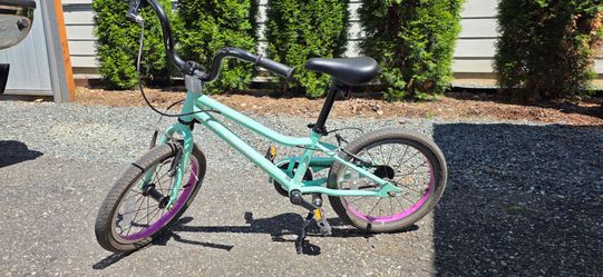 Guardian 16 inch bike