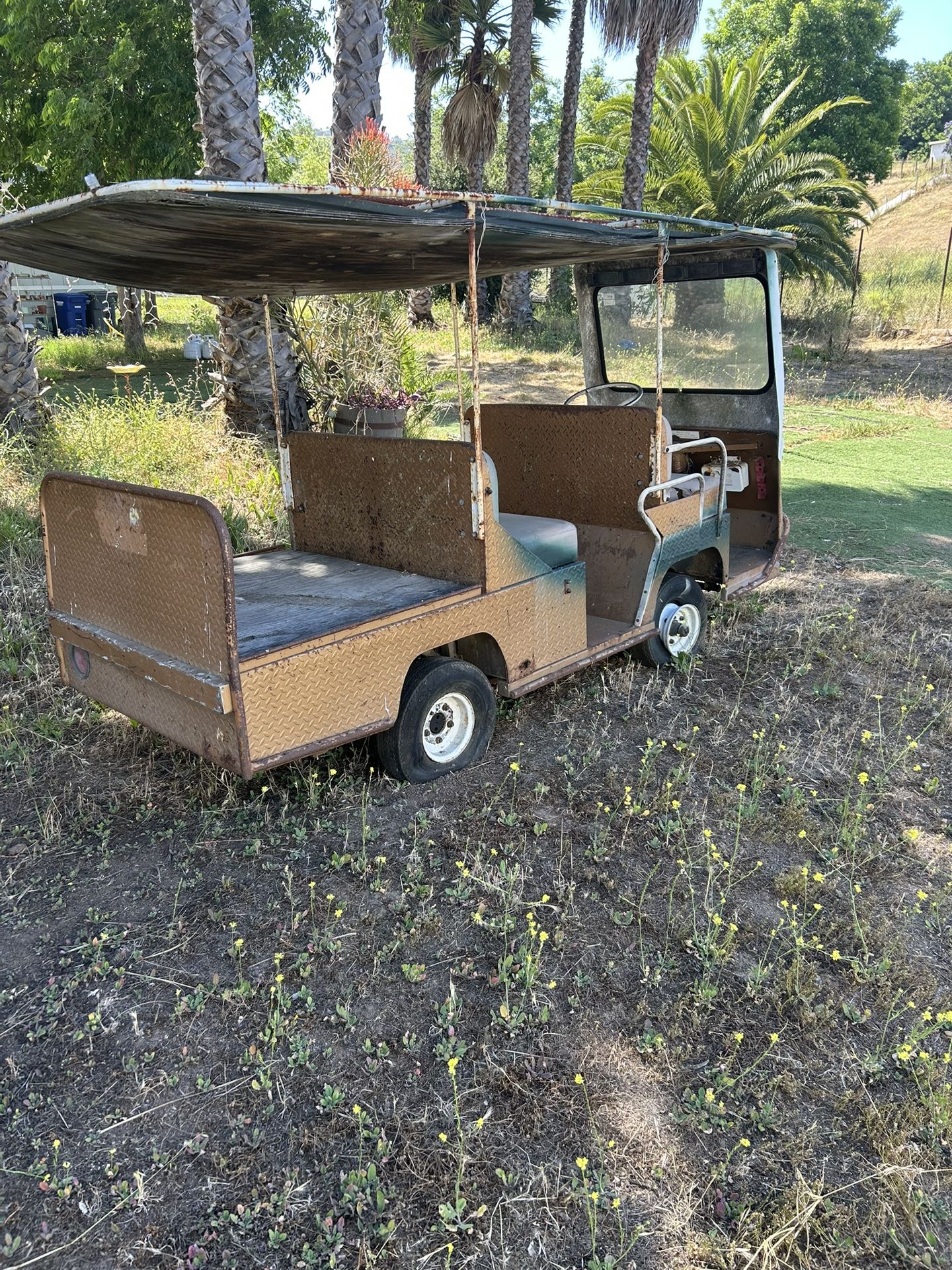 Golf Cart