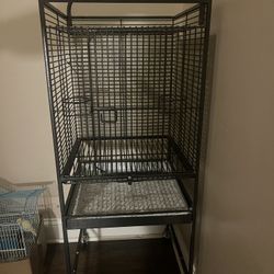 Bird Cage 