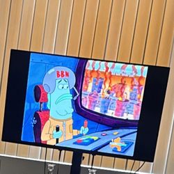 Vizio v Series