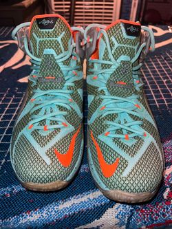 Nike LeBron 12 Basketball Sneakers
