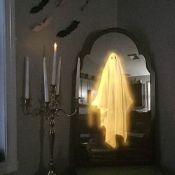 Pottery Barn Ghost Mirror 