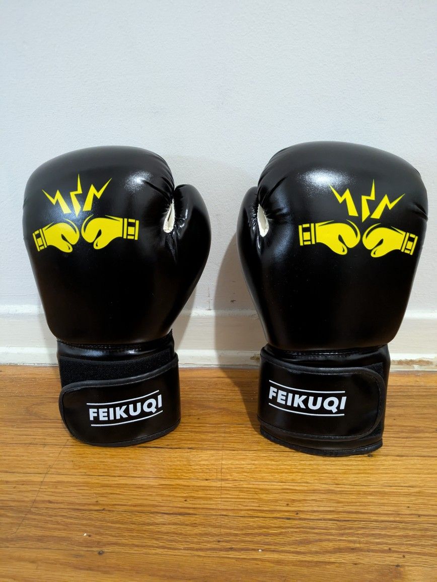🥊 Brand New Feikuqi Boxing Gloves – Open Box, Never Used! - $15
