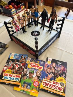 Wresting toy
