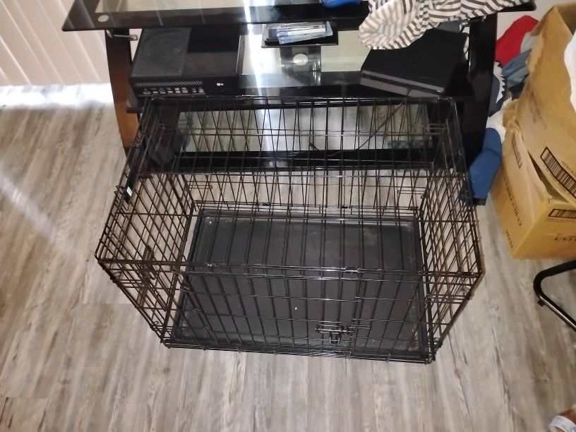 Animal Hotel