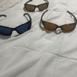 Sunglasses 
