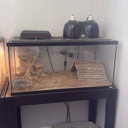 40 Gallon Reptile Encloser /W Lights
