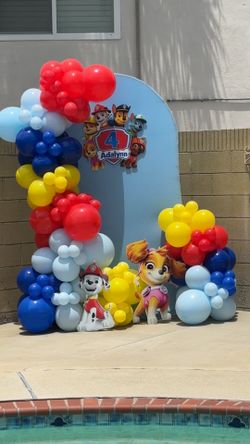 Paw patrol