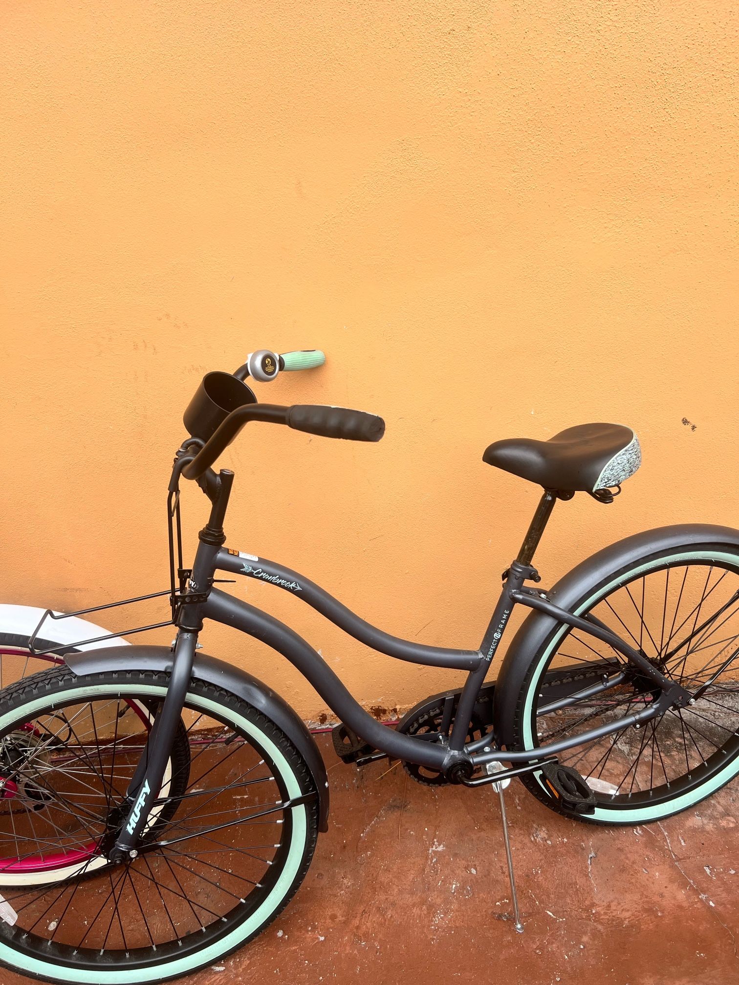 Adult Bike