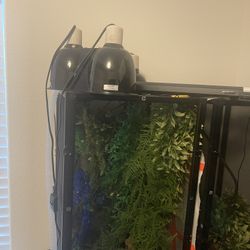 Reptile Cage And Suplies