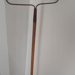 Rakes