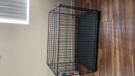 Large dog kennel