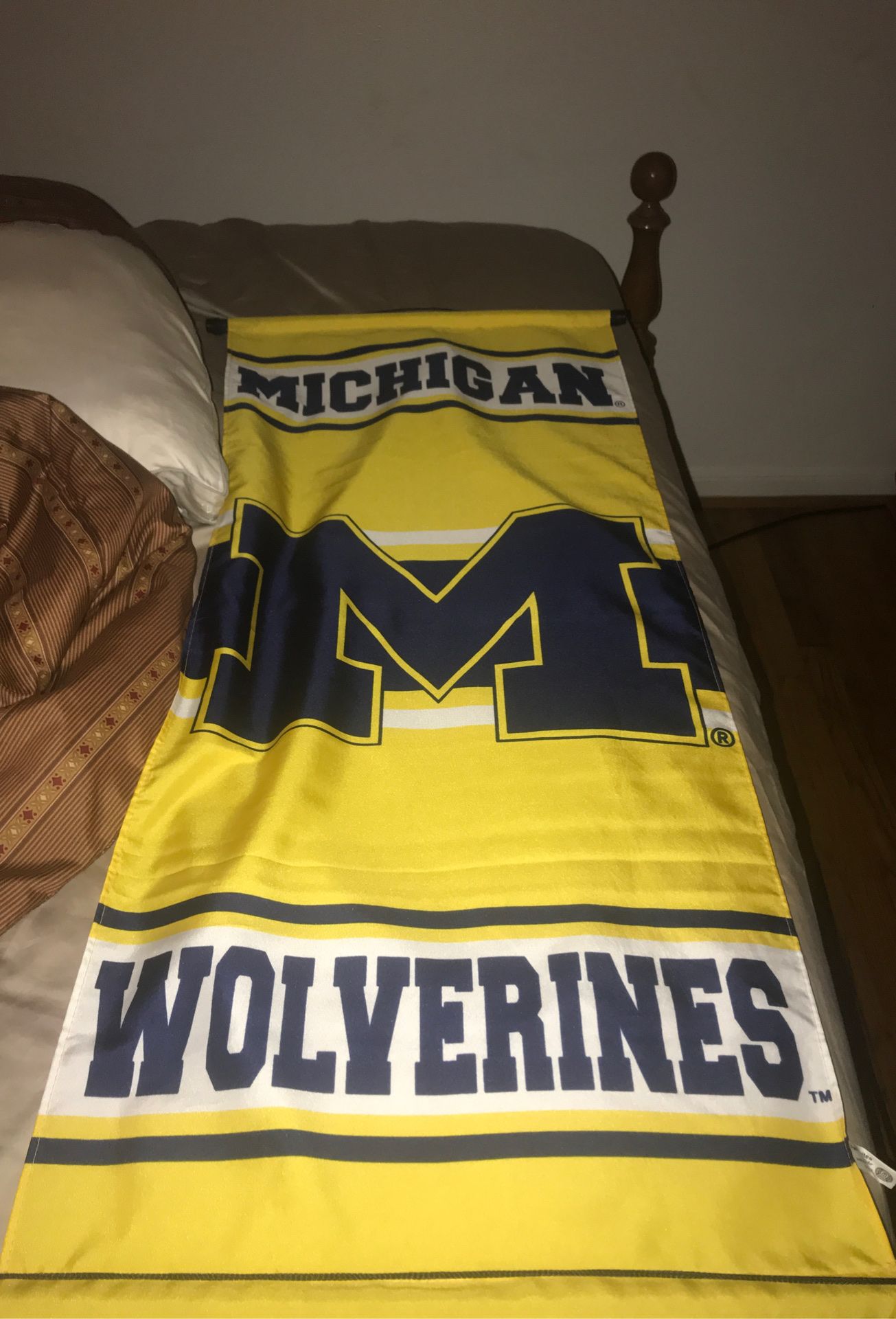 Michigan university banner