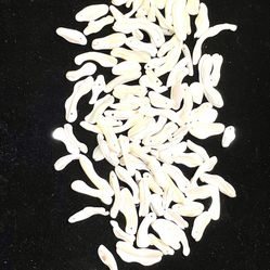 20 Mother Of Pearl Skinny Drop Stick Beads