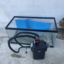 Fish Tank 