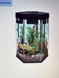 Reptile Or Fish Tank