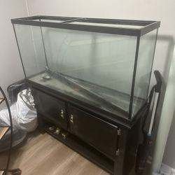 75 Gallon Fish Tank 