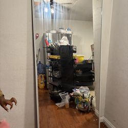 Glass Closet Door