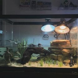 20 Gallon Fish Tank Tall