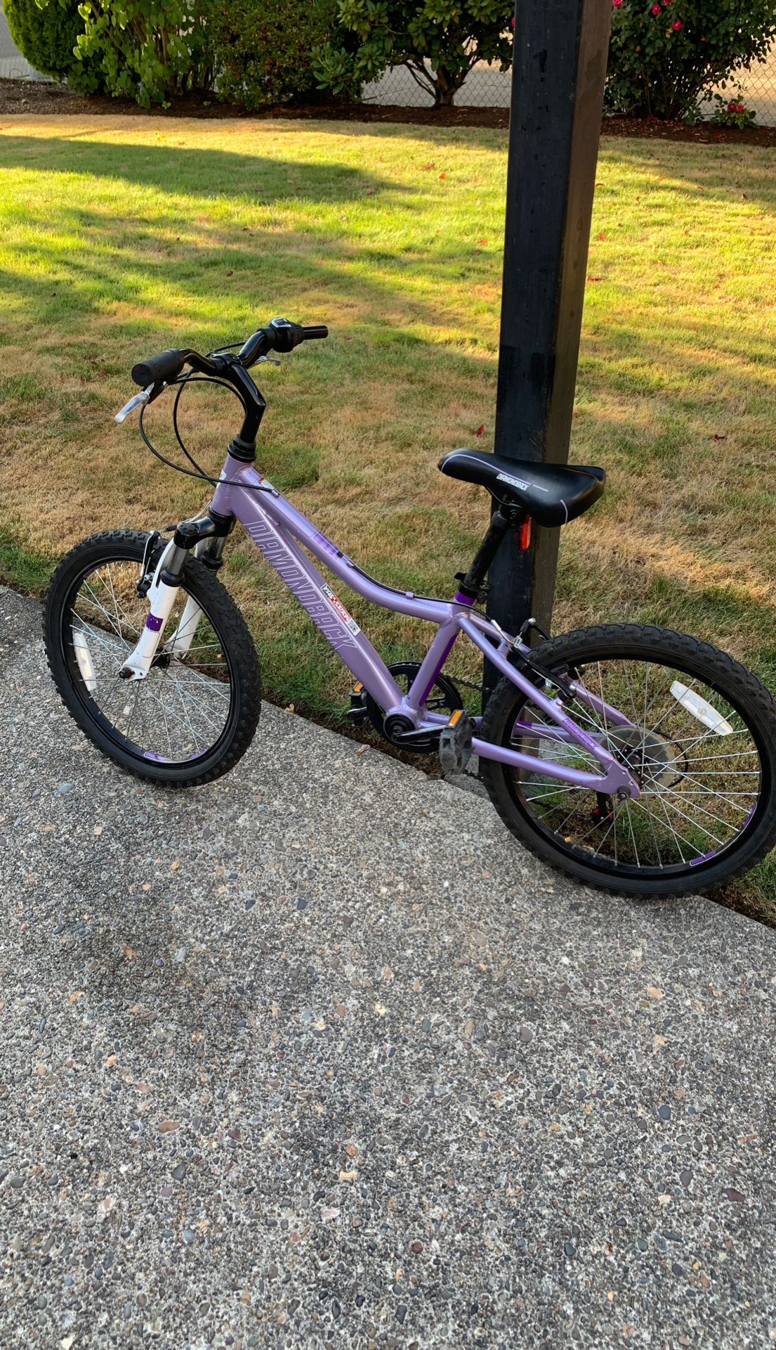 Diamondback Purple Mountain Bike