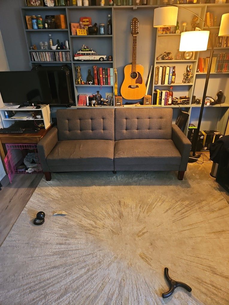Futon Couch