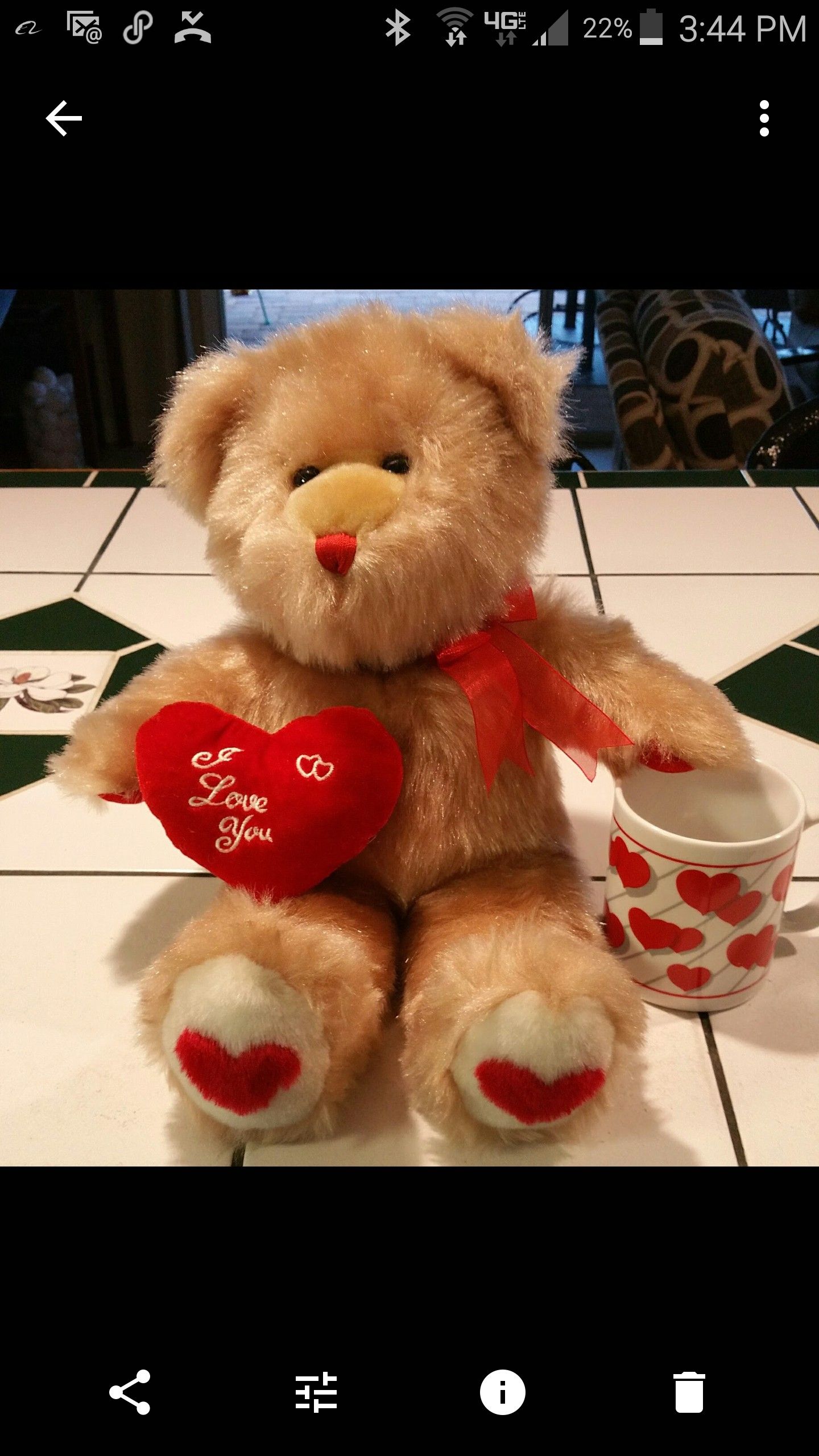 Make up Teddy Bear and Heart Mug Or I love you Teddy