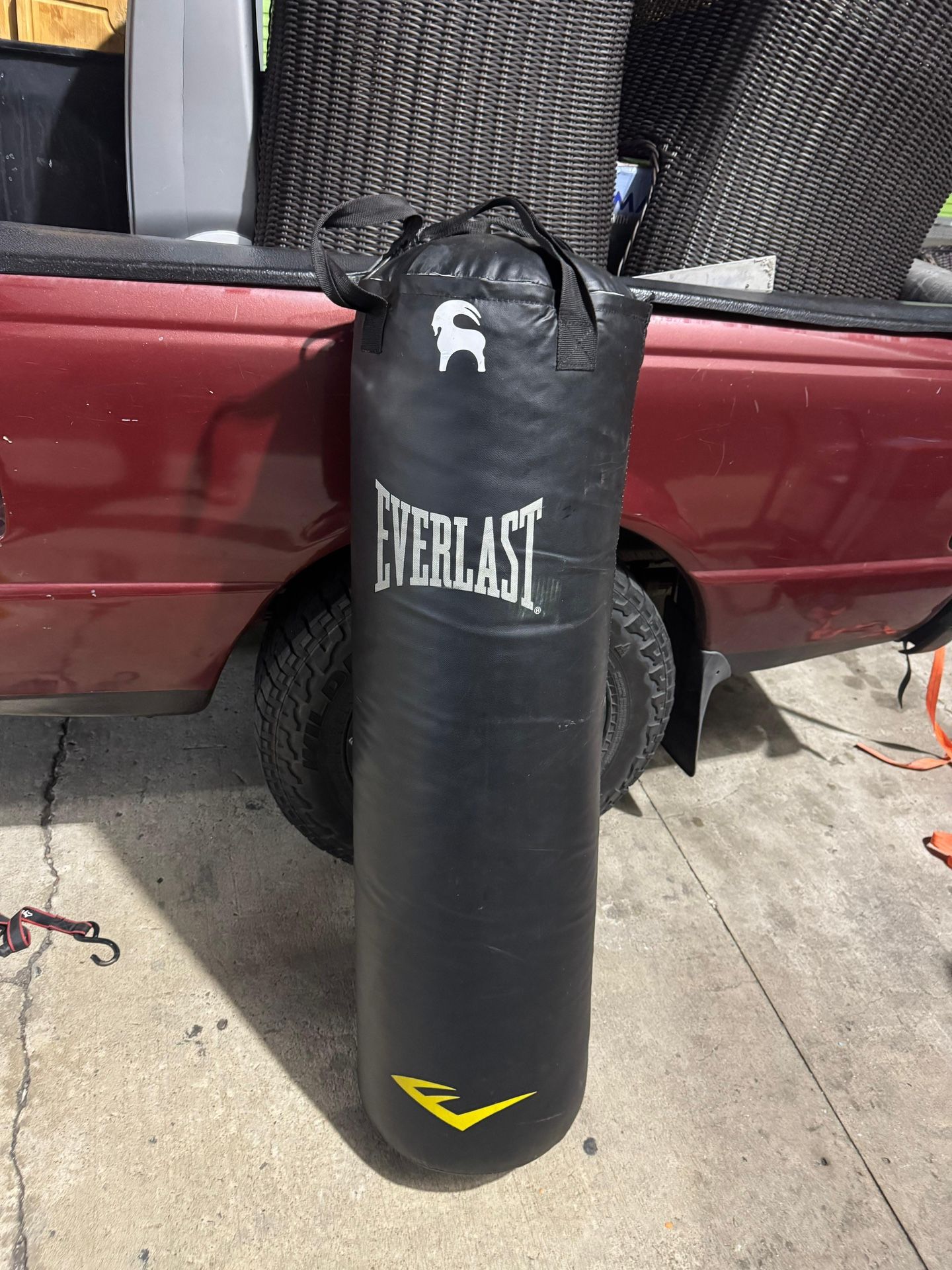 Everlast Punching Bag