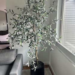 Faux Olive Tree With Planter