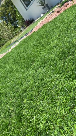 Artificial Turf - Snow