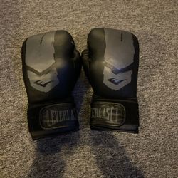 Black And Grey Everlasting Boxing Gloves