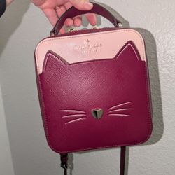 New York Meow Cat Daisy Vanity Crossbody Purse in Pink Multi Kate Spade USED
