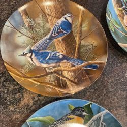 10 Bird Plates 
