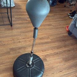 Everlast Punching Bag 