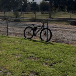 Throne ( Magura Brakes )