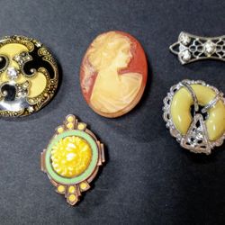 Victorian Brooches 