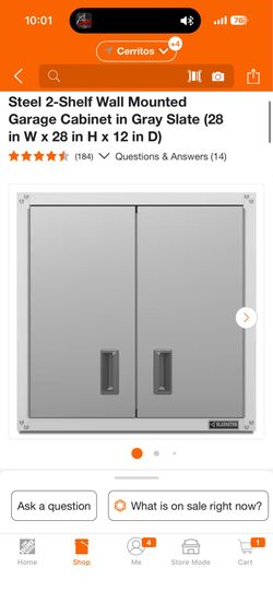 Steel 2-Shelf Wall Mounted Garage Cabinet in Gray Slate (28 in W x 28 in H x 12 in D)