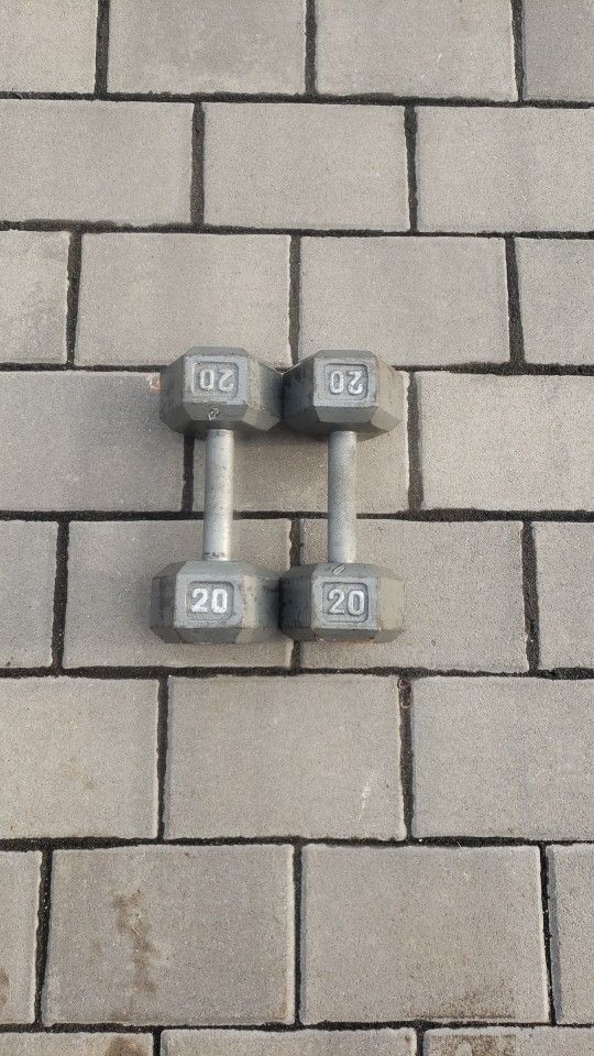 20LB Dumbbell Set