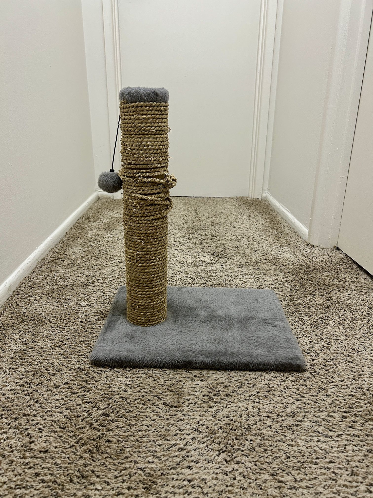 Cat Seagrass Scratch + Play Post with Dangling Ball