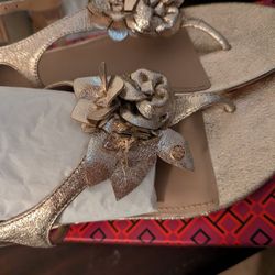 Brand New Tory Burch Shoes