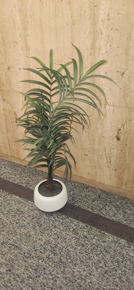 artificial potted palm plant, likely an Areca palm variety.
It is