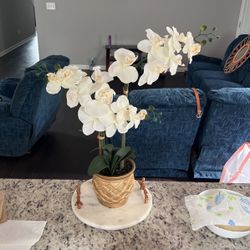 2 Piece Kitchen Display